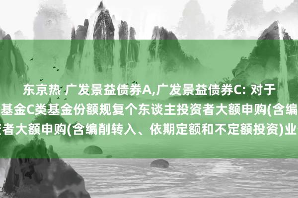 东京热 广发景益债券A，广发景益债券C: 对于广发景益债券型证券投资基金C类基金份额规复个东谈主投资者大额申购(含编削转入、依期定额和不定额投资)业务的公告