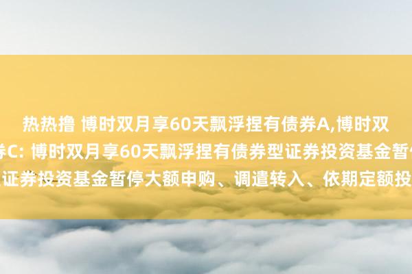 热热撸 博时双月享60天飘浮捏有债券A,博时双月享60天飘浮捏有债券C: 博时双月享60天飘浮捏有债券型证券投资基金暂停大额申购、调遣转入、依期定额投资业务的公告