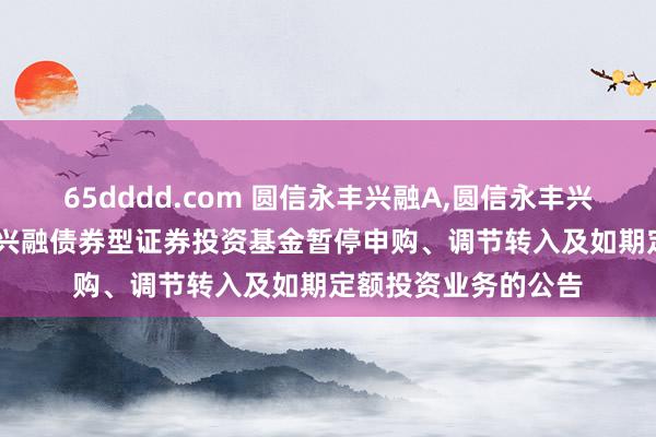 65dddd.com 圆信永丰兴融A,圆信永丰兴融C: 对于圆信永丰兴融债券型证券投资基金暂停申购、调节转入及如期定额投资业务的公告