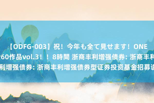 【ODFG-003】祝！今年も全て見せます！ONEDAFULL1年の軌跡全60作品vol.3！！8時間 浙商丰利增强债券: 浙商丰利增强债券型证券投资基金招募说明书更新