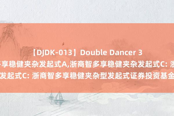 【DJDK-013】Double Dancer 3 篠田ゆう 三浦まい 浙商智多享稳健夹杂发起式A，浙商智多享稳健夹杂发起式C: 浙商智多享稳健夹杂型发起式证券投资基金招募说明书更新