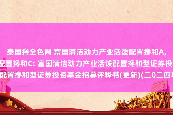 泰国撸全色网 富国清洁动力产业活泼配置搀和A，富国清洁动力产业活泼配置搀和C: 富国清洁动力产业活泼配置搀和型证券投资基金招募评释书(更新)(二0二四年第一号)