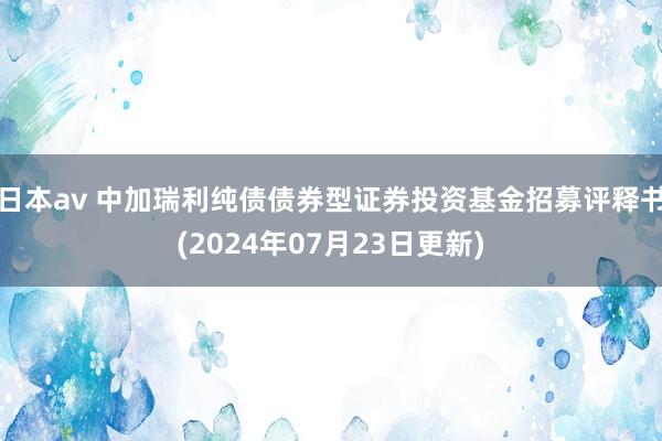 日本av 中加瑞利纯债债券型证券投资基金招募评释书(2024年07月23日更新)