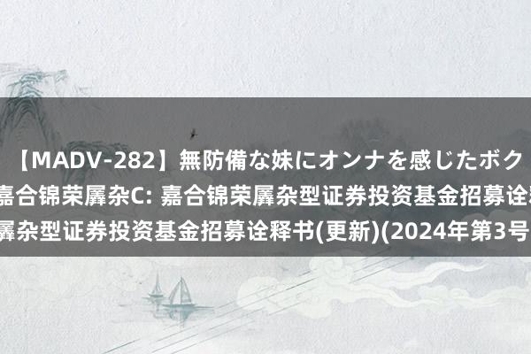 【MADV-282】無防備な妹にオンナを感じたボク。 3 嘉合锦荣羼杂A，嘉合锦荣羼杂C: 嘉合锦荣羼杂型证券投资基金招募诠释书(更新)(2024年第3号)