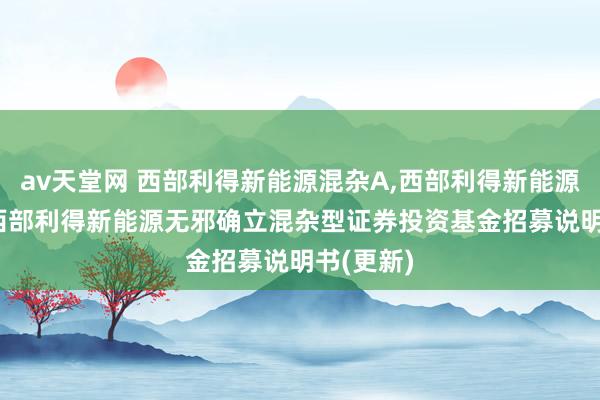 av天堂网 西部利得新能源混杂A,西部利得新能源混杂C: 西部利得新能源无邪确立混杂型证券投资基金招募说明书(更新)