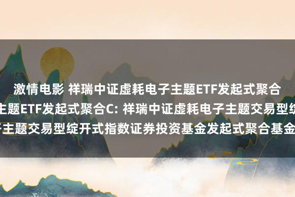 激情电影 祥瑞中证虚耗电子主题ETF发起式聚合A，祥瑞中证虚耗电子主题ETF发起式聚合C: 祥瑞中证虚耗电子主题交易型绽开式指数证券投资基金发起式聚合基金招募说明书(更新)