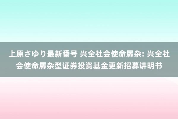 上原さゆり最新番号 兴全社会使命羼杂: 兴全社会使命羼杂型证券投资基金更新招募讲明书