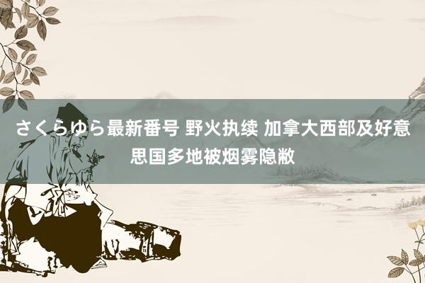 さくらゆら最新番号 野火执续 加拿大西部及好意思国多地被烟雾隐敝