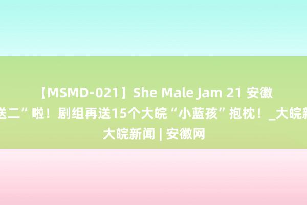 【MSMD-021】She Male Jam 21 安徽谚语“猜一送二”啦！剧组再送15个大皖“小蓝孩”抱枕！_大皖新闻 | 安徽网