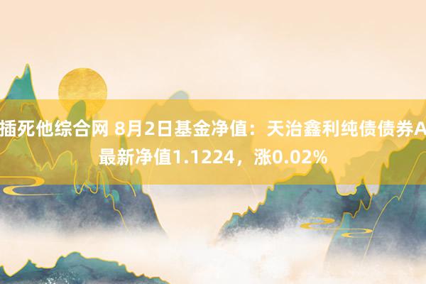 插死他综合网 8月2日基金净值：天治鑫利纯债债券A最新净值1.1224，涨0.02%