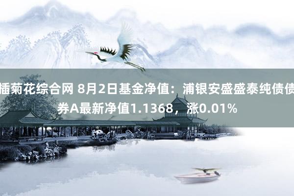 插菊花综合网 8月2日基金净值：浦银安盛盛泰纯债债券A最新净值1.1368，涨0.01%