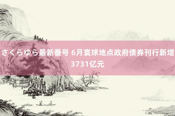 さくらゆら最新番号 6月寰球地点政府债券刊行新增3731亿元