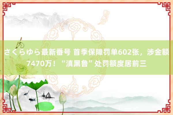 さくらゆら最新番号 首季保障罚单602张，涉金额7470万！“滇黑鲁”处罚额度居前三