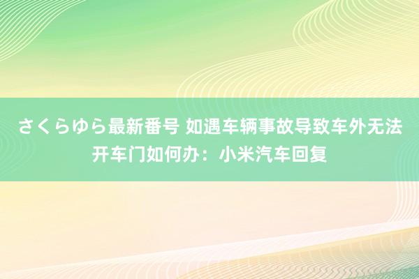 さくらゆら最新番号 如遇车辆事故导致车外无法开车门如何办：小米汽车回复