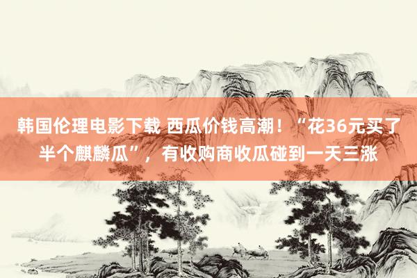 韩国伦理电影下载 西瓜价钱高潮！“花36元买了半个麒麟瓜”，有收购商收瓜碰到一天三涨