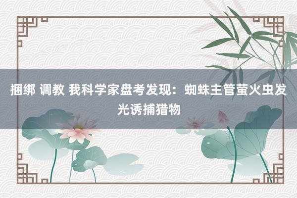 捆绑 调教 我科学家盘考发现：蜘蛛主管萤火虫发光诱捕猎物