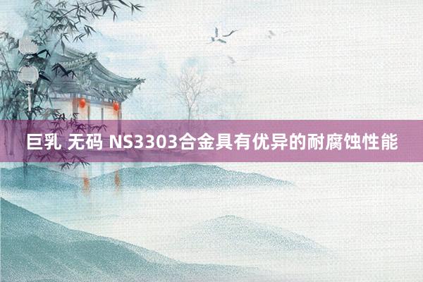 巨乳 无码 NS3303合金具有优异的耐腐蚀性能