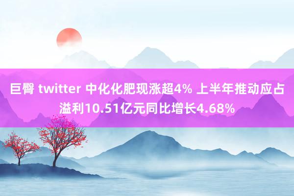 巨臀 twitter 中化化肥现涨超4% 上半年推动应占溢利10.51亿元同比增长4.68%