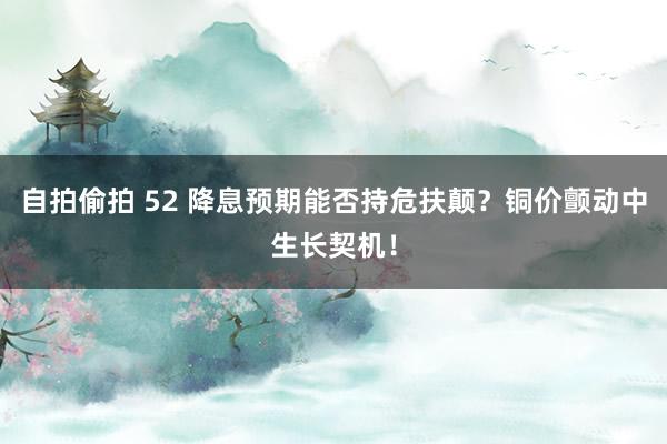 自拍偷拍 52 降息预期能否持危扶颠？铜价颤动中生长契机！