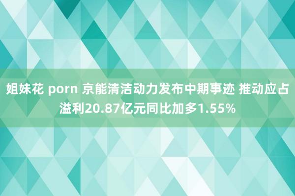 姐妹花 porn 京能清洁动力发布中期事迹 推动应占溢利20.87亿元同比加多1.55%