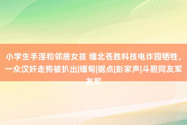 小学生手淫和邻居女孩 缅北苍胜科技电诈园牺牲，一众汉奸走狗被扒出|缅甸|据点|彭家声|斗胆同友军