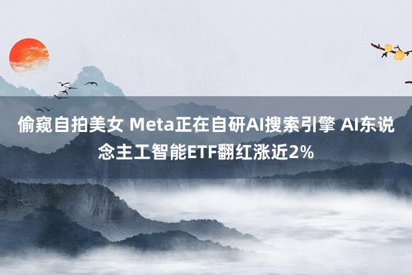 偷窥自拍美女 Meta正在自研AI搜索引擎 AI东说念主工智能ETF翻红涨近2%